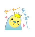 インコのティアラ（個別スタンプ：3）