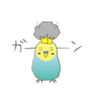 インコのティアラ（個別スタンプ：12）