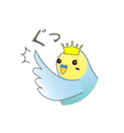 インコのティアラ（個別スタンプ：16）