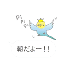 インコのティアラ（個別スタンプ：21）