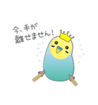 インコのティアラ（個別スタンプ：25）