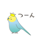 インコのティアラ（個別スタンプ：29）