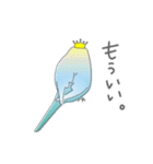 インコのティアラ（個別スタンプ：30）