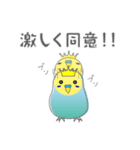 インコのティアラ（個別スタンプ：37）