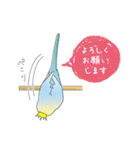 インコのティアラ（個別スタンプ：39）