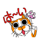 我が家のぶ〜ちゃん（個別スタンプ：1）
