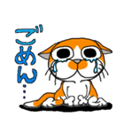 我が家のぶ〜ちゃん（個別スタンプ：6）