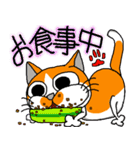 我が家のぶ〜ちゃん（個別スタンプ：13）
