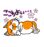 我が家のぶ〜ちゃん（個別スタンプ：14）