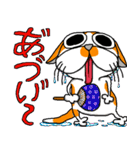 我が家のぶ〜ちゃん（個別スタンプ：17）