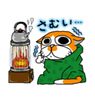 我が家のぶ〜ちゃん（個別スタンプ：18）