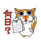 我が家のぶ〜ちゃん（個別スタンプ：22）