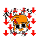 我が家のぶ〜ちゃん（個別スタンプ：30）