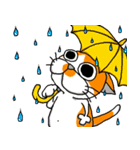 我が家のぶ〜ちゃん（個別スタンプ：32）