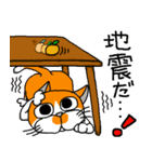 我が家のぶ〜ちゃん（個別スタンプ：36）