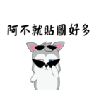 Cool-Dog 2（個別スタンプ：24）