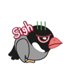 QQ Java Sparrow 4（個別スタンプ：9）