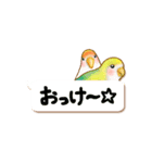 リアルな鳥さんスタンプ3（個別スタンプ：34）