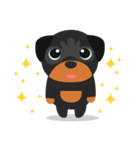 Rottweiler（個別スタンプ：1）