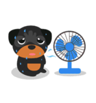 Rottweiler（個別スタンプ：4）