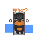 Rottweiler（個別スタンプ：6）