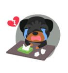 Rottweiler（個別スタンプ：24）