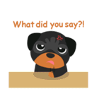 Rottweiler（個別スタンプ：28）