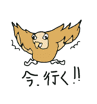 一風変わった、動物たち（個別スタンプ：11）