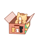 Can't See Cat Face！！！！（個別スタンプ：34）