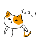 猫～YURU～（個別スタンプ：1）