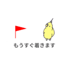 吹き出しインコ（個別スタンプ：15）