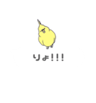 吹き出しインコ（個別スタンプ：22）