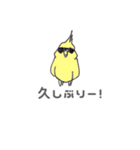 吹き出しインコ（個別スタンプ：40）