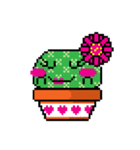 The Funny Cactus Family（個別スタンプ：2）