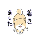 使える柴犬さんスタンプ（個別スタンプ：23）