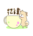 使える柴犬さんスタンプ（個別スタンプ：31）