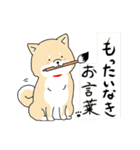 使える柴犬さんスタンプ（個別スタンプ：35）