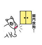 I am Triangle rabbit（個別スタンプ：21）