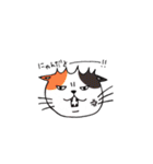 ぶにねこ（個別スタンプ：20）