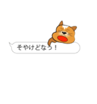 クックな犬 for 伝言用（個別スタンプ：29）