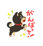 ごきげん柴犬’s（個別スタンプ：13）