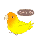 Cutie Pie the birdy family（個別スタンプ：28）