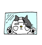 手書きのにゃんこたち 第2弾（個別スタンプ：30）