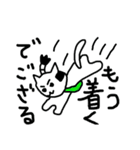 ちょんまげねこ（個別スタンプ：12）