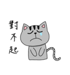 You need Cat（個別スタンプ：5）