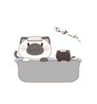 シャムにゃん（個別スタンプ：11）