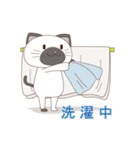 シャムにゃん（個別スタンプ：16）