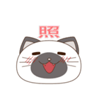 シャムにゃん（個別スタンプ：31）