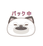 シャムにゃん（個別スタンプ：36）