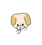 わたしのふわふわわんこ（個別スタンプ：2）